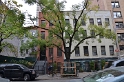 arbres-urbain
