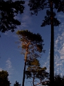 04.JPG