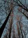 05.JPG