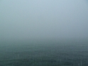 06.JPG