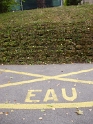 04.JPG