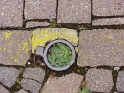 07.jpg
